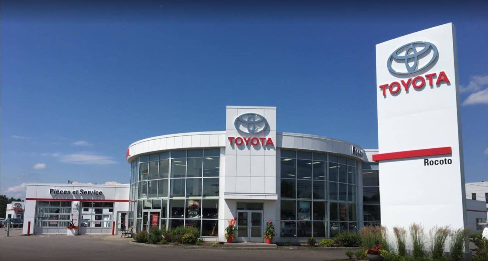 Rocoto Toyota